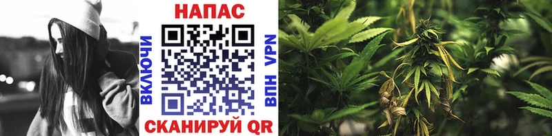 Где можно купить наркотики Порхов APVP АМФЕТАМИН Псилоцибиновые грибы COCAIN Меф мяу мяу ГАШИШ